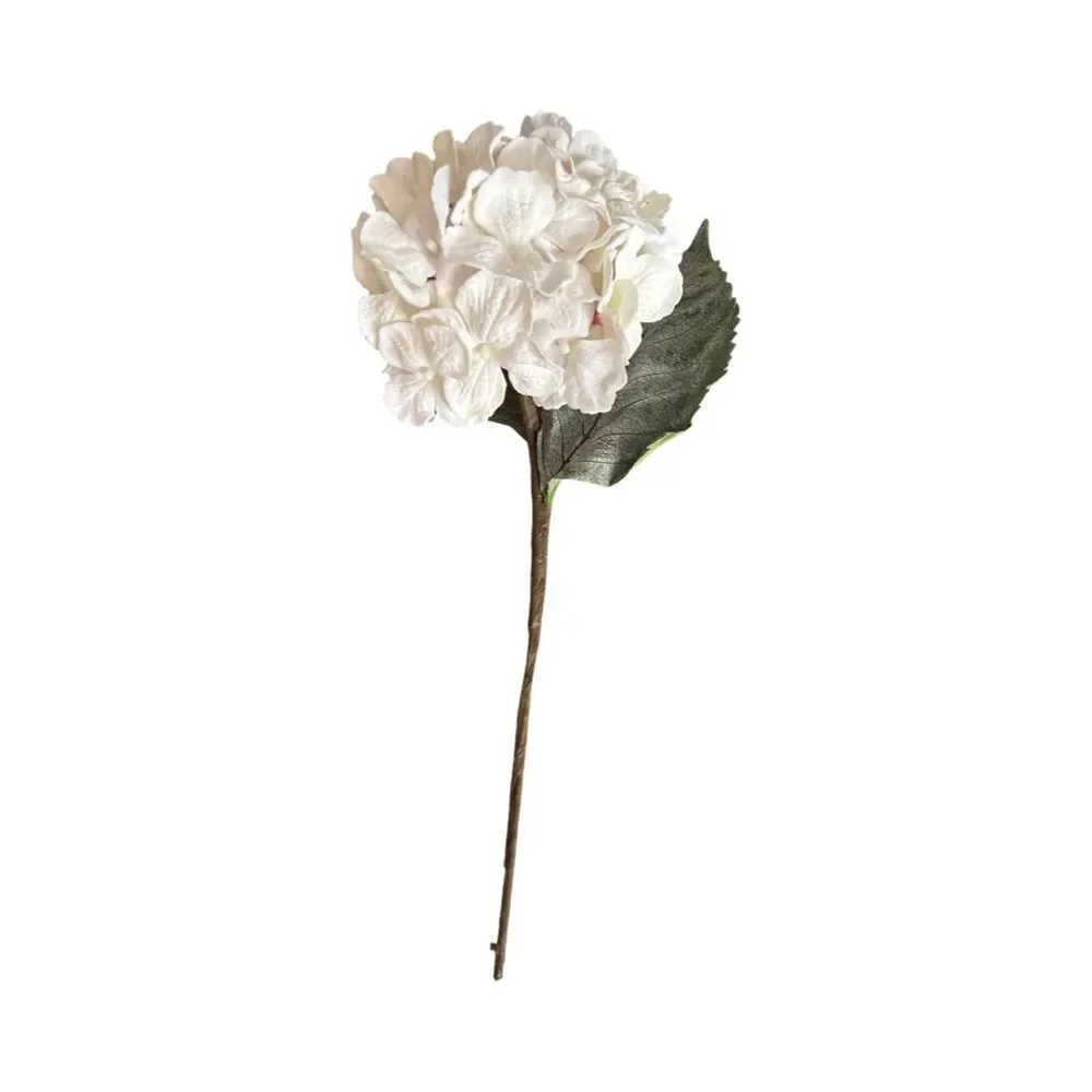 Elegant White Flowers.
